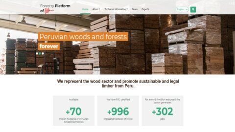 Fortalecimiento de capacidades de los socios estratégicos del sector madera genera sinergias institucionales