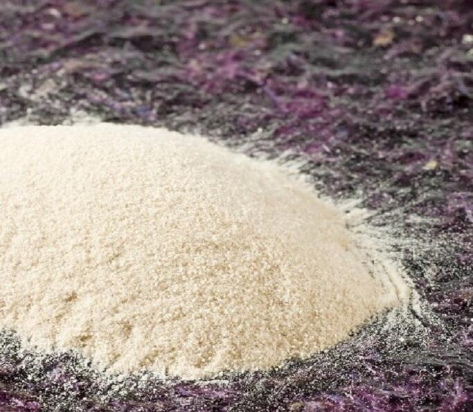 Publication on Carrageenan and Agar in Indonesia